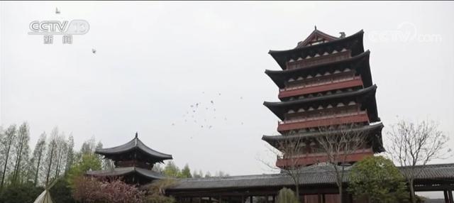 央视报道阜阳!嫩柳清风西湖好 游人相将踏青来